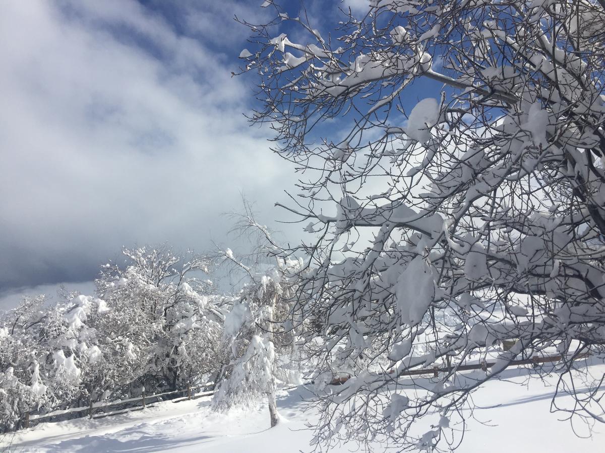 Loma Del Viento Villa Farellones Bagian luar foto